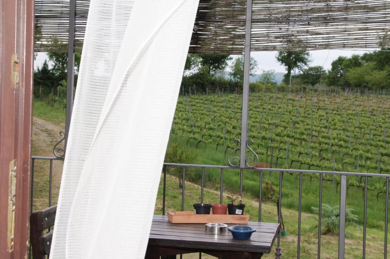 Villa Il Pino Bioagricoltura à Terranuova Bracciolini Extérieur photo