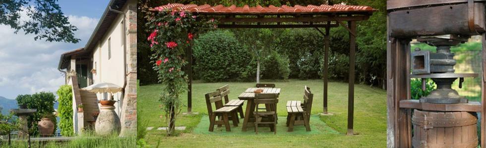 Villa Il Pino Bioagricoltura à Terranuova Bracciolini Extérieur photo